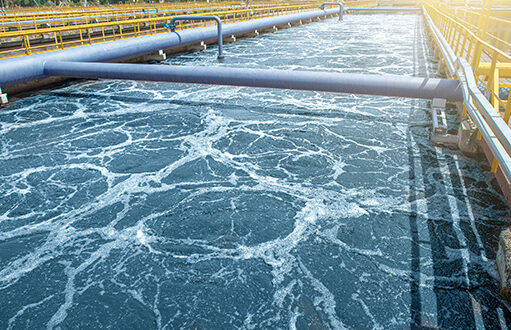 Prime Minister Roosevelt Skerrit stated that Dominica is in a position to supply water to St. Lucia and, by extension, the Caribbean region