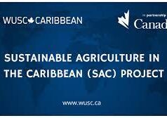 Hot pepper production in Dominica receives a boost with a donation of equipment from the SAC Project