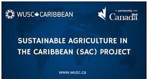 Hot pepper production in Dominica receives a boost with a donation of equipment from the SAC Project