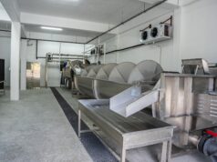 Testing has begun at the Dominica Abattoir