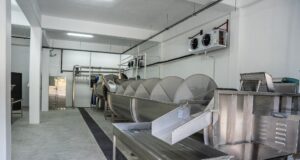Testing has begun at the Dominica Abattoir