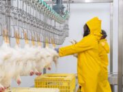 Parliamentary Representative for St. Joseph Constituency Darron Lloyd says the Dominica abattoir will ensure food security for Dominica