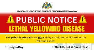 The Ministry of Agriculture, Fisheries, Blue and Green Economy is urging Dominicans to avoid using or gathering in certain areas of Woodford Hill during the upcoming holiday