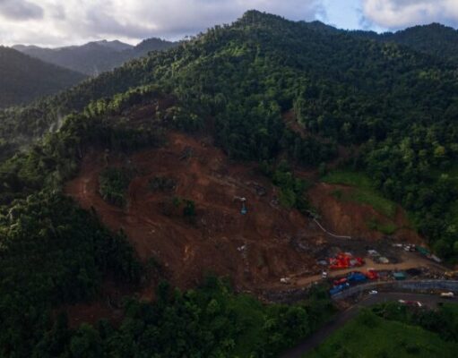 Minister for Tourism Denise Charles Pemberton dismisses Cooper Mining allegations at Deux Branche