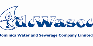 DOWASCO reports significant progress in the Water Sector Strategic Development Project despite delay in completion