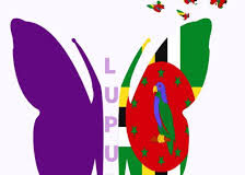 Lupus Foundation of Dominica to embark on a survey