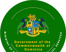 The Ministry of Health and Wellness is monitoring hantavirus disease, reporting no confirmed cases in Dominica