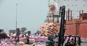 A leading official of the FAO raises concerns over the level of food imports to the Caribbean