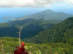 Ministry of Environment Commissions Demarcation and Buffer Zone Establishment Activity For Morne Diablotin National Park