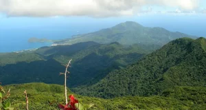 Ministry of Environment Commissions Demarcation and Buffer Zone Establishment Activity For Morne Diablotin National Park