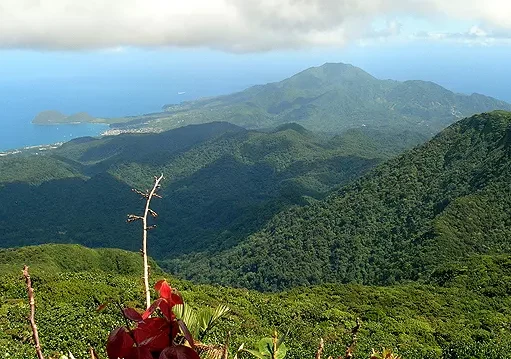 Ministry of Environment Commissions Demarcation and Buffer Zone Establishment Activity For Morne Diablotin National Park