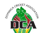 New T20 League on the Horizon as DCA Finalizes Preparations