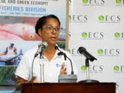 Dominica receives US$ 93,000 for two biodiversity projects from the Caribbean Biodiversity Fund