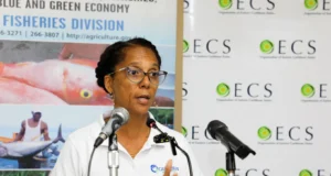 Dominica receives US$ 93,000 for two biodiversity projects from the Caribbean Biodiversity Fund