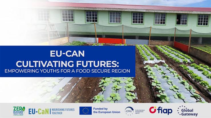 EU funded project