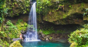 Dominica ranks #1 destination in the Caribbean