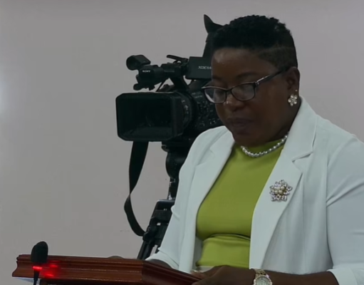 Opposition Leader Calls for New Political Culture That Embraces All Dominicans