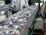A two-million-dollar fish processing plant to be constructed for Soufriere/Scottshead