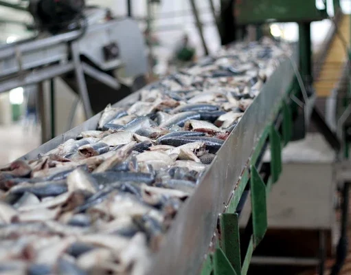 A two-million-dollar fish processing plant to be constructed for Soufriere/Scottshead