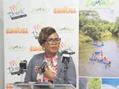 Dominica Partners with Stage 32 to Boost Audio-Visual Industry