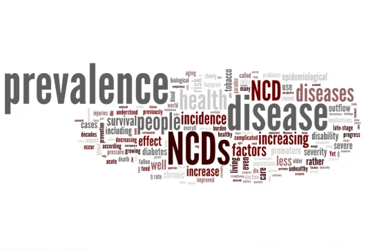 ncd-530x363