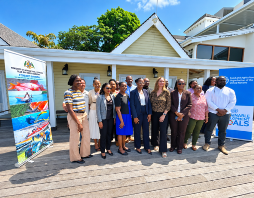 CC4FISH-II Seeks to Strengthen Resilience of Caribbean Fisheries