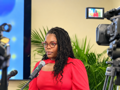 National Ozone Officer Calls For Stronger Cooperation on Sustainable Cooling