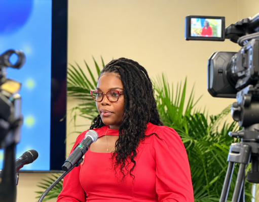 National Ozone Officer Calls For Stronger Cooperation on Sustainable Cooling