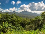 Dominica Reviews Management Plans for Morne Trois Pitons and Morne Diablotin National Parks