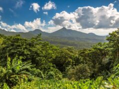 Dominica Reviews Management Plans for Morne Trois Pitons and Morne Diablotin National Parks