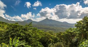 Dominica Reviews Management Plans for Morne Trois Pitons and Morne Diablotin National Parks