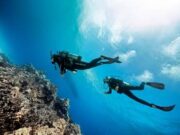 Dominica’s Dive Sector receives international recognition from Scuba Diving magazine