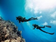 Dominica’s Dive Sector receives international recognition from Scuba Diving magazine
