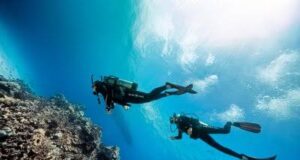 Dominica’s Dive Sector receives international recognition from Scuba Diving magazine